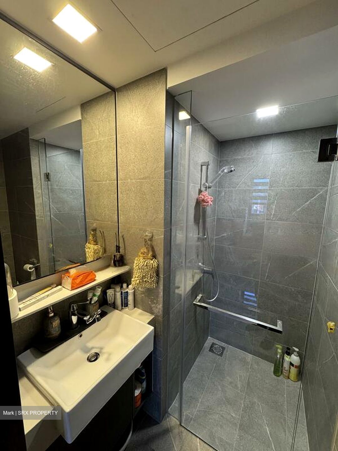 Riverfront Residences (D19), Apartment #451804801